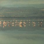 2003_kenia